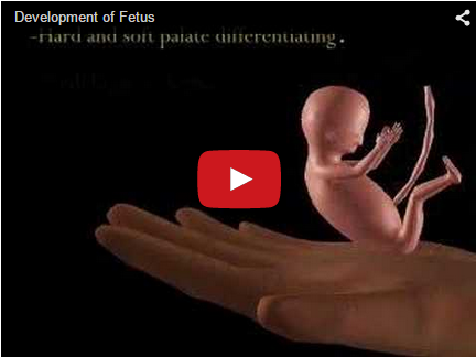 hvordan får man en pige hvornår kan man se at man er gravid hvordan får man en pige hvornår kan man se at man er gravid