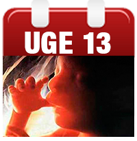 foster uge 13 foster uge 13